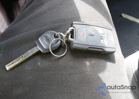 2019 Chevrolet Silverado 1500 Custom Trail Boss z USA, uszkodzony, nr VIN 1GCRYCEF8KZ299721